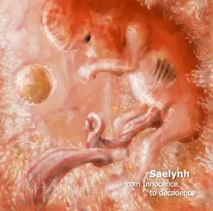 Saelynh - CD 8 (2005-2010)
