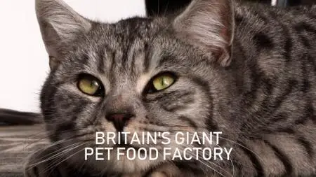 Ch4. - Britain's Giant Pet Food Factory (2019)