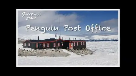 BBC Natural World - Penguin Post Office (2014)