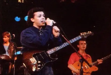 Gold: Tears for Fears. The Videos (2007)