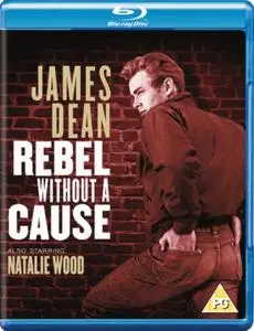 Rebel Without a Cause (1955) [w/Commentary]