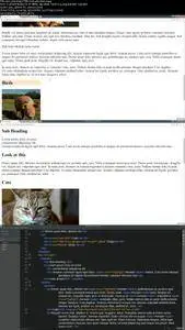 Get to know HTML Learn HTML Basics