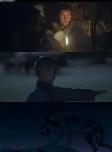 L'ultimo Lupo (2015)