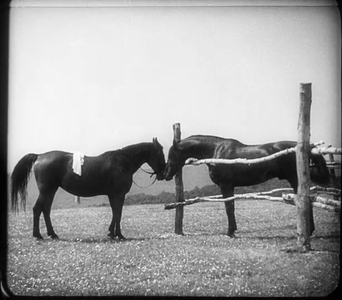 Ekstase / Ecstasy (1933)