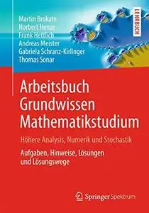 Arbeitsbuch Grundwissen Mathematikstudium - Höhere Analysis, Numerik und Stochastik: Aufgaben, Hinweise, Lösungen und Lösungswe