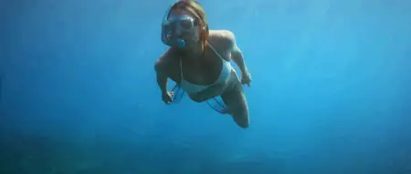 The Reef (2010)