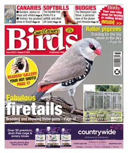 Cage & Aviary Birds - 6 August 2025