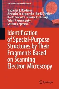Identification of Special-Purpose Structures by Their Fragments Based on Scanning Electron Microscopy