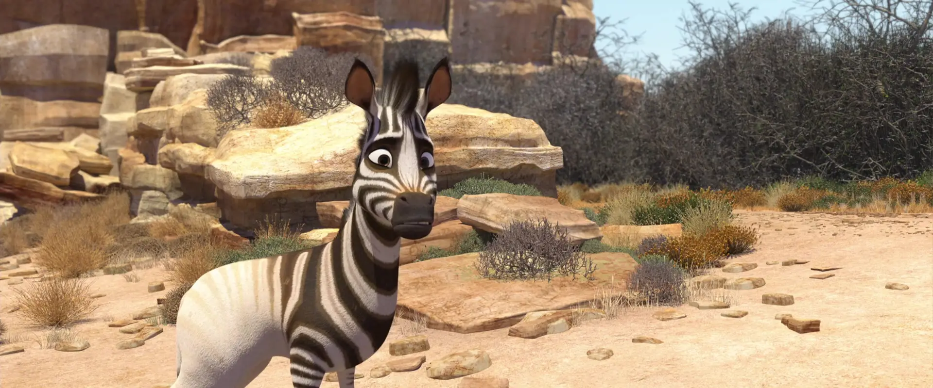 Кумба король сафари 2. Король сафари брэдли. Зебра кумба. Зебра кумба. Кумба король сафари.