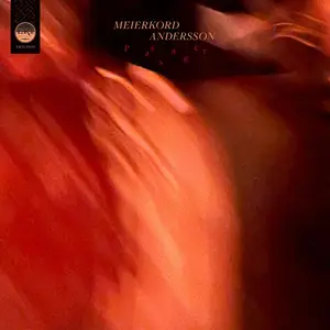 Henrik Meierkord & Pelle Andersson - Passager (2025) [Official Digital Download 24/48]