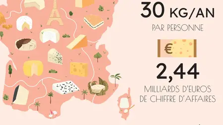Illustrator : Créer une infographie