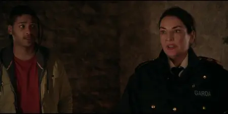 Harry Wild S04E06