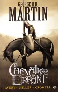 Le chevalier errant - Tome 1