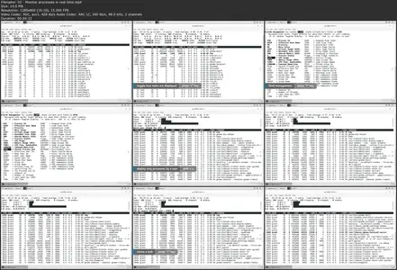 Linux System Engineer: Kernel Tuning and Remote Logging