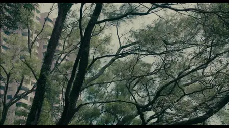 Bends (2013)