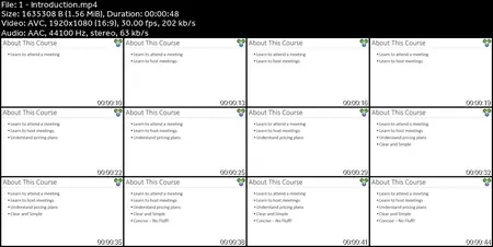 Zoom Crash Course - Clear, Simple, and Concise for Beginners