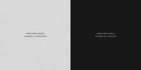 Nine Inch Nails - Ghosts V: Together & Ghosts VI: Locusts (2020)