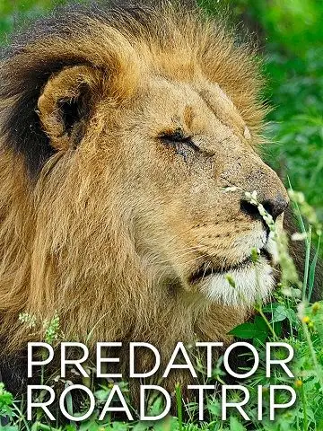 Smithsonian Ch. - Predator Road Trip: Series 1 (2013)