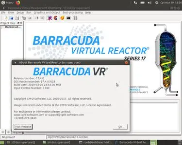 CPFD Barracuda VR 17.4.0