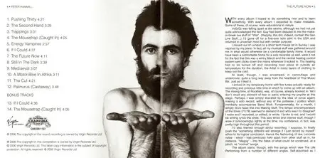 Peter Hammill - The Future Now - 1978 (2006)