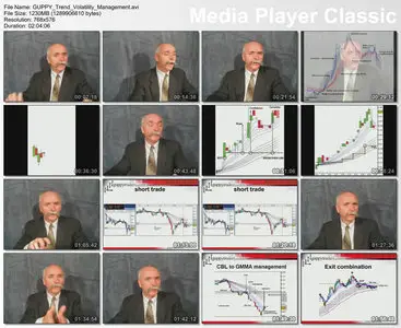 GMMA Trend Volatility Management