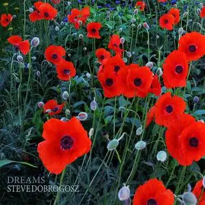 Steve Dobrogosz - Dreams (2022)