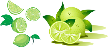 Shutter Stock Lemon vector