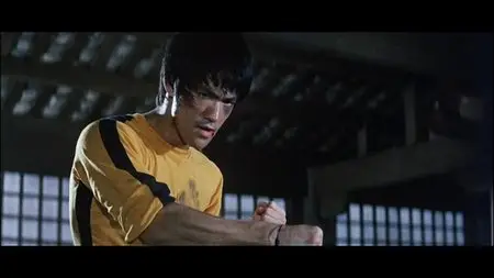Bruce Lee Ultimate Fully Re-Mastered DVD Collection (1971-1981)