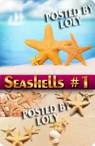 Seashells #1 - Stock Photo