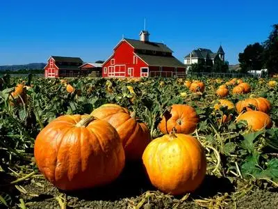 Farms And Barns - Wallpapers