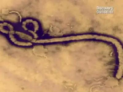 Discovery Civilisation The Mystery of The Black Death