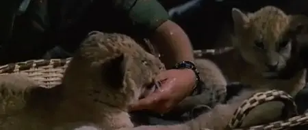 Born Free - 1966