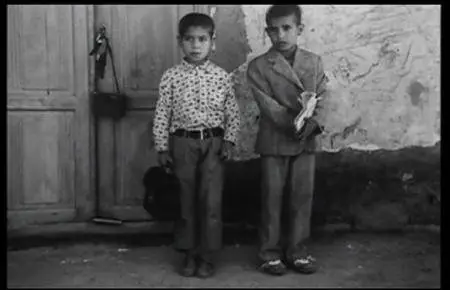 Abbas Kiarostami: A Report (2013)