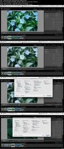 Mastering Adobe Lightroom 5 - A Definitive Tutorial (Repost)