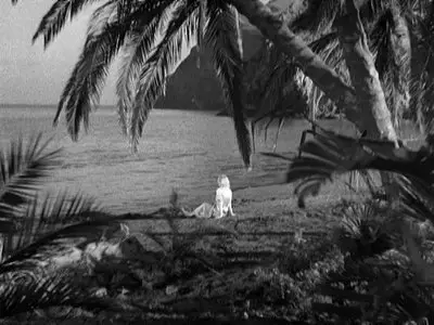 We're Not Dressing (1934)