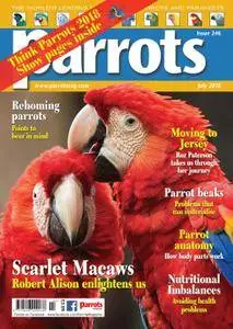 Parrots - July 2018