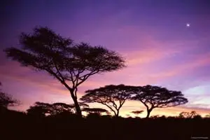 HQ Foto: Views of Afrika