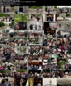 The Miracle of Saint Anthony / O Milagre de Santo Antonio (2012)