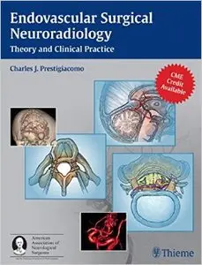 Surgical Endovascular Neuroradiology