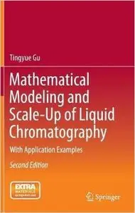 Mathematical Modeling and Scale-Up of Liquid Chromatography: With Application Examples, 2 edition