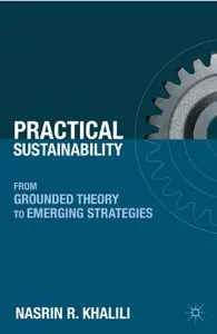 Practical Sustainability: From Grounded Theory to Emerging Strategies (Repost)