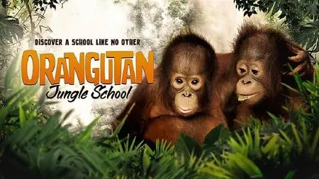 Love Nature - Orangutan Jungle School: Series 1 (2018)