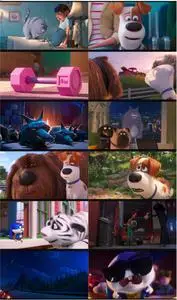 The Secret Life of Pets 2 (2019)