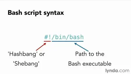 Up and Running with Bash Scripting
