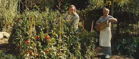 La tête en friche / Das Labyrinth der Wörter (2010)