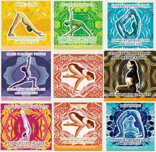 Sharon Gannon and David Life - Portable Jivamukti Yoga DVD CD Set