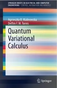 Quantum Variational Calculus [Repost]