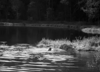 Det stora äventyret / The Great Adventure (1953)