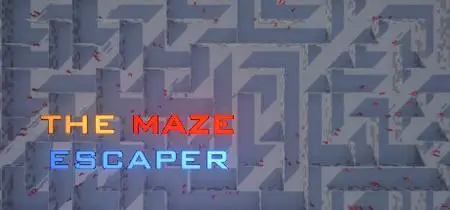 The Maze Escaper (2020)