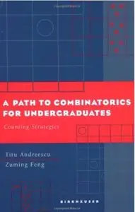 A Path to Combinatorics for Undergraduates: Counting Strategies